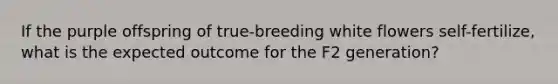 If the purple offspring of true-breeding white flowers self-fertilize, what is the expected outcome for the F2 generation?