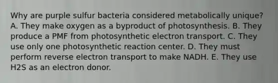 Why are purple sulfur bacteria considered metabolically unique? ﻿﻿﻿ A. They make oxygen as a byproduct of photosynthesis. ﻿﻿﻿B. They produce a PMF from photosynthetic electron transport. C. They use only one photosynthetic reaction center. D. They must perform reverse electron transport to make NADH. E. They use H2S as an electron donor.