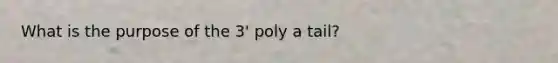 What is the purpose of the 3' poly a tail?