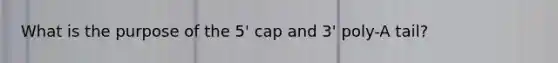 What is the purpose of the 5' cap and 3' poly-A tail?