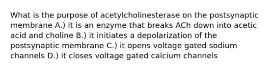 What is the purpose of acetylcholinesterase on the postsynaptic membrane A.) it is an enzyme that breaks ACh down into acetic acid and choline B.) it initiates a depolarization of the postsynaptic membrane C.) it opens voltage gated sodium channels D.) it closes voltage gated calcium channels