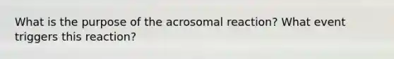 What is the purpose of the acrosomal reaction? What event triggers this reaction?