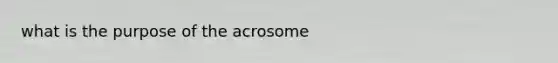 what is the purpose of the acrosome