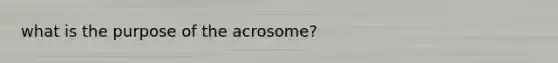 what is the purpose of the acrosome?