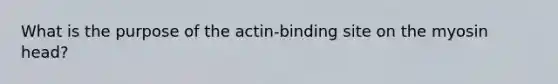 What is the purpose of the actin-binding site on the myosin head?