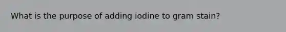 What is the purpose of adding iodine to gram stain?