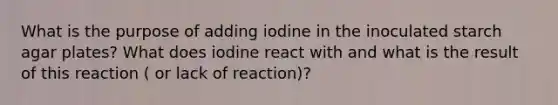 What is the purpose of adding iodine in the inoculated starch agar plates? What does iodine react with and what is the result of this reaction ( or lack of reaction)?