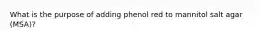 What is the purpose of adding phenol red to mannitol salt agar (MSA)?