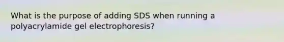 What is the purpose of adding SDS when running a polyacrylamide gel electrophoresis?