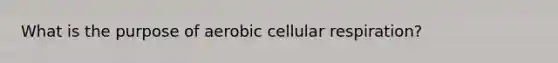 What is the purpose of aerobic <a href='https://www.questionai.com/knowledge/k1IqNYBAJw-cellular-respiration' class='anchor-knowledge'>cellular respiration</a>?