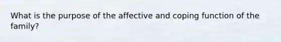 What is the purpose of the affective and coping function of the family?