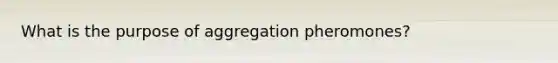 What is the purpose of aggregation pheromones?