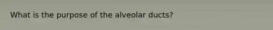 What is the purpose of the alveolar ducts?