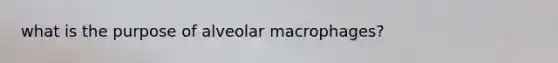 what is the purpose of alveolar macrophages?