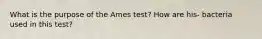 What is the purpose of the Ames test? How are his- bacteria used in this test?