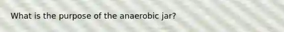 What is the purpose of the anaerobic jar?