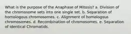 What is the purpose of the Anaphase of Mitosis? a. Division of the chromosome sets into one single set. b. Separation of homologous chromosomes. c. Alignment of homologous chromosomes. d. Recombination of chromosomes. e. Separation of identical Chromatids.