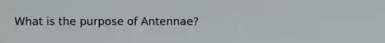 What is the purpose of Antennae?