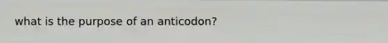 what is the purpose of an anticodon?