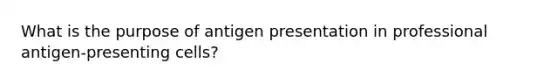 What is the purpose of antigen presentation in professional antigen-presenting cells?