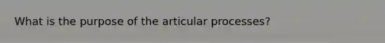 What is the purpose of the articular processes?