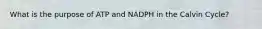 What is the purpose of ATP and NADPH in the Calvin Cycle?