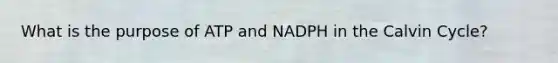 What is the purpose of ATP and NADPH in the Calvin Cycle?