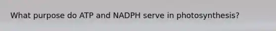 What purpose do ATP and NADPH serve in photosynthesis?