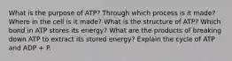 What is the purpose of ATP? Through which process is it made? Where in the cell is it made? What is the structure of ATP? Which bond in ATP stores its energy? What are the products of breaking down ATP to extract its stored energy? Explain the cycle of ATP and ADP + P.