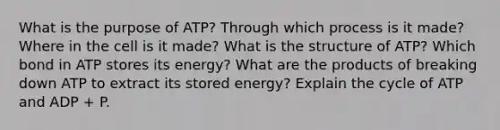 What is the purpose of ATP? Through which process is it made? Where in the cell is it made? What is the structure of ATP? Which bond in ATP stores its energy? What are the products of breaking down ATP to extract its stored energy? Explain the cycle of ATP and ADP + P.