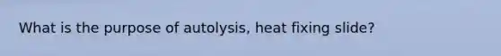 What is the purpose of autolysis, heat fixing slide?