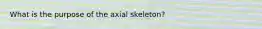 What is the purpose of the axial skeleton?