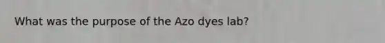 What was the purpose of the Azo dyes lab?