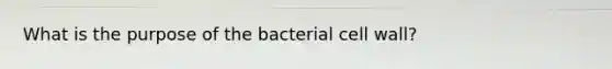 What is the purpose of the bacterial cell wall?