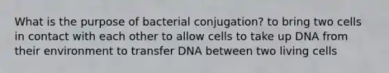 What is the purpose of bacterial conjugation? to bring two cells in contact with each other to allow cells to take up DNA from their environment to transfer DNA between two living cells