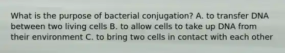 What is the purpose of bacterial conjugation? A. to transfer DNA between two living cells B. to allow cells to take up DNA from their environment C. to bring two cells in contact with each other