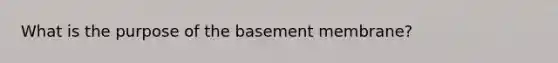 What is the purpose of the basement membrane?