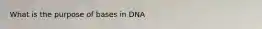 What is the purpose of bases in DNA