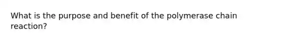 What is the purpose and benefit of the polymerase chain reaction?