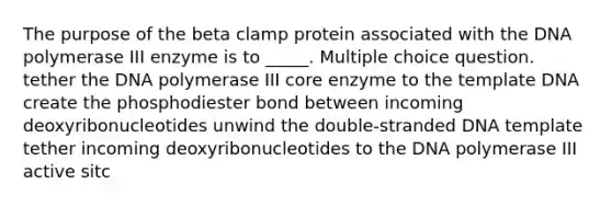 The purpose of the beta clamp protein associated with the DNA polymerase III enzyme is to _____. Multiple choice question. tether the DNA polymerase III core enzyme to the template DNA create the phosphodiester bond between incoming deoxyribonucleotides unwind the double-stranded DNA template tether incoming deoxyribonucleotides to the DNA polymerase III active sitc