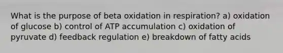 What is the purpose of beta oxidation in respiration? a) oxidation of glucose b) control of ATP accumulation c) oxidation of pyruvate d) feedback regulation e) breakdown of fatty acids