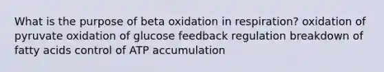 What is the purpose of beta oxidation in respiration? oxidation of pyruvate oxidation of glucose feedback regulation breakdown of fatty acids control of ATP accumulation