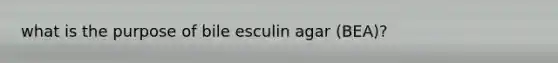 what is the purpose of bile esculin agar (BEA)?