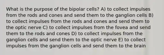 What is the purpose of the bipolar cells? A) to collect impulses from the rods and cones and send them to the ganglion cells B) to collect impulses from the rods and cones and send them to the optic nerve C) to collect impulses from the fovea and send them to the rods and cones D) to collect impulses from the ganglion cells and send them to the optic nerve E) to collect impulses from the ganglion cells and send them to the brain