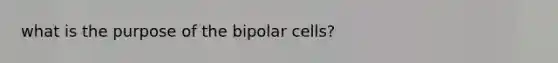 what is the purpose of the bipolar cells?