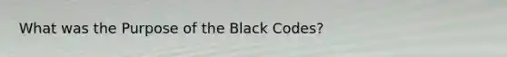 What was the Purpose of the Black Codes?