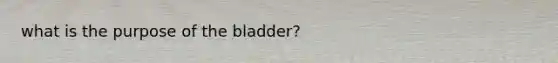 what is the purpose of the bladder?