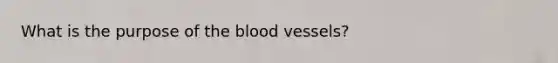 What is the purpose of the blood vessels?