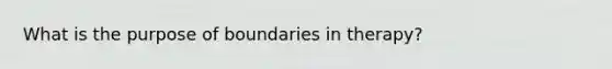 What is the purpose of boundaries in therapy?