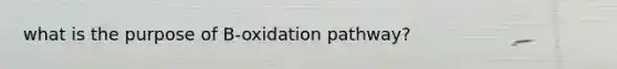 what is the purpose of B-oxidation pathway?